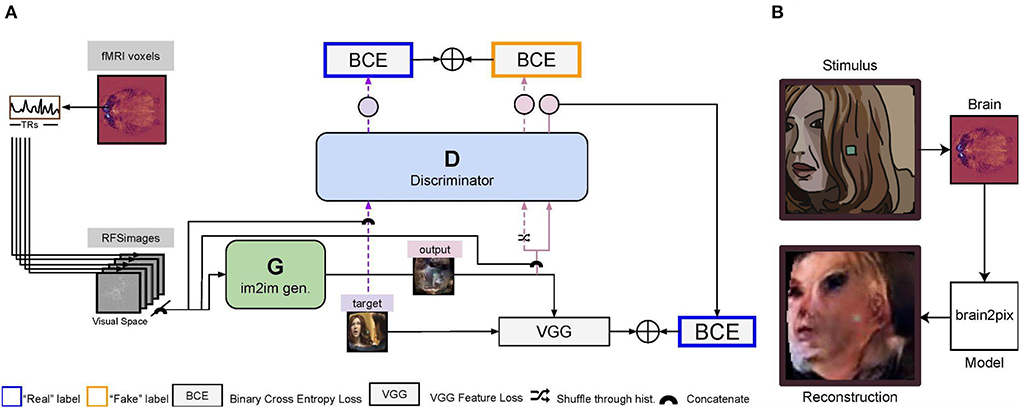 Fake brain 3 Diagram