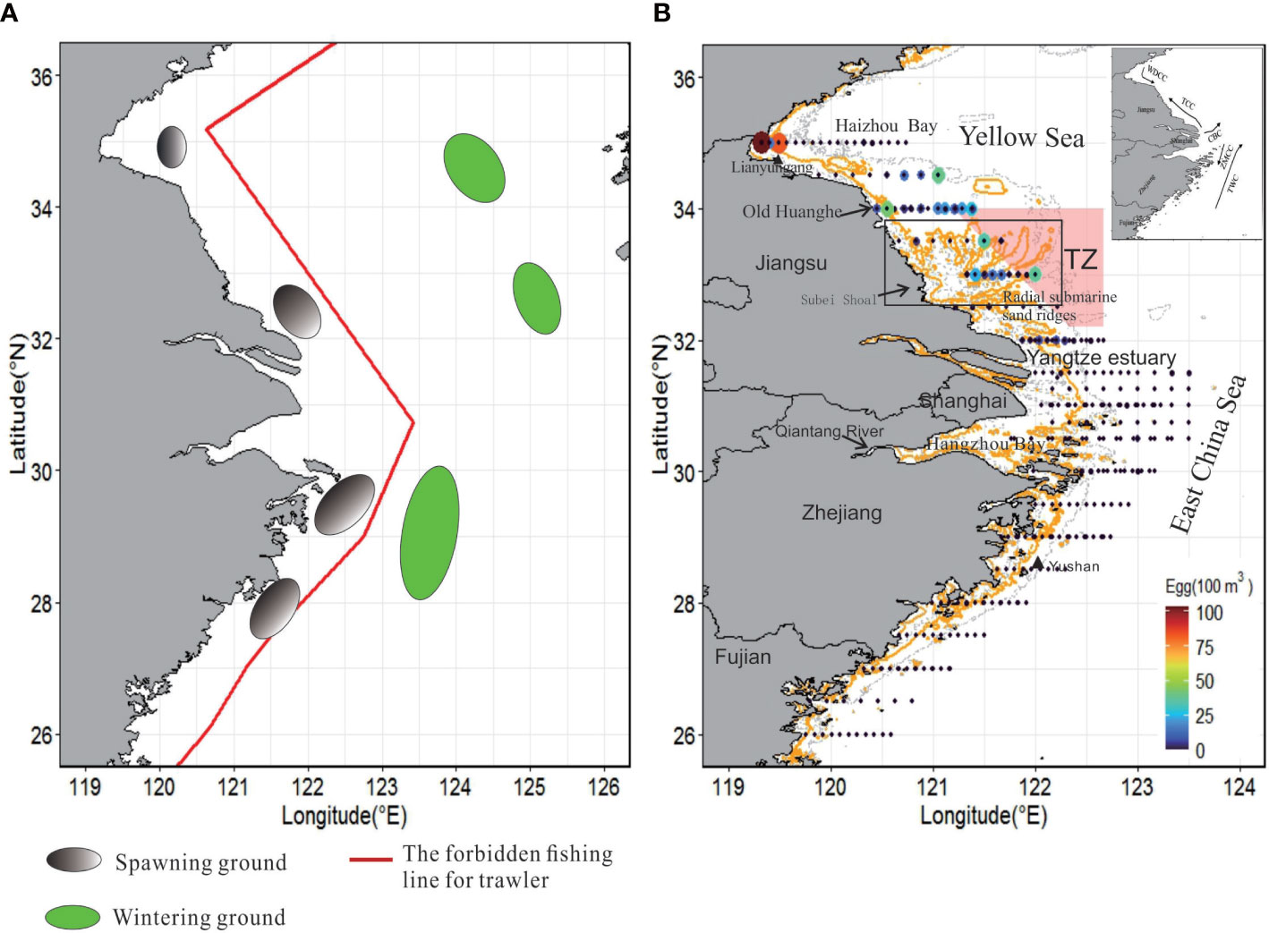 Frontiers  River Runoff as a Major Driver of Anchovy (Engraulis