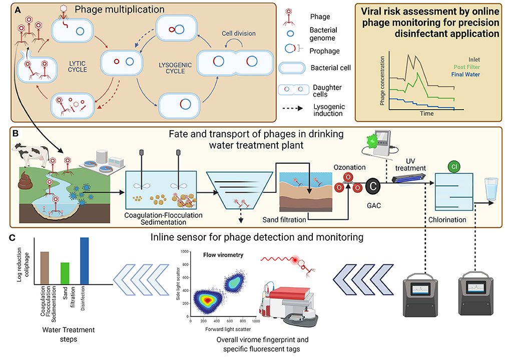 Water Management Solutions - Monitor Quality, Levels & Flow - AEM