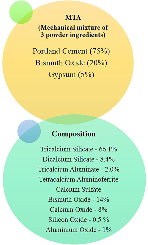 A Comparison of Dental Filling Materials - dentist Portland OR