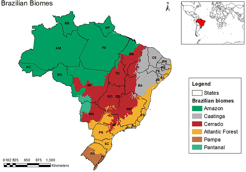 Brazil  Agricultural Prices: CONAB: Average Weekly Prices