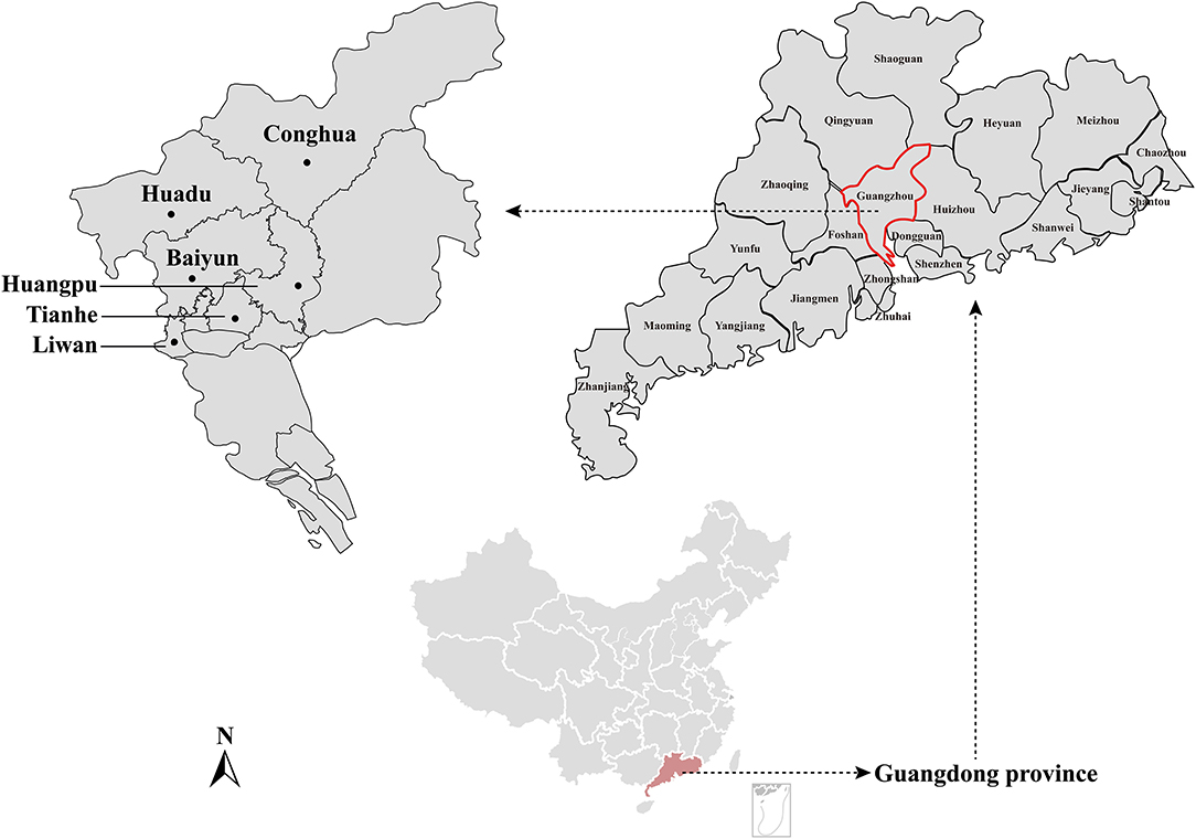 Frontiers | Epidemiology and Genetic Diversity of Bartonella in Rodents in  Urban Areas of Guangzhou, Southern China