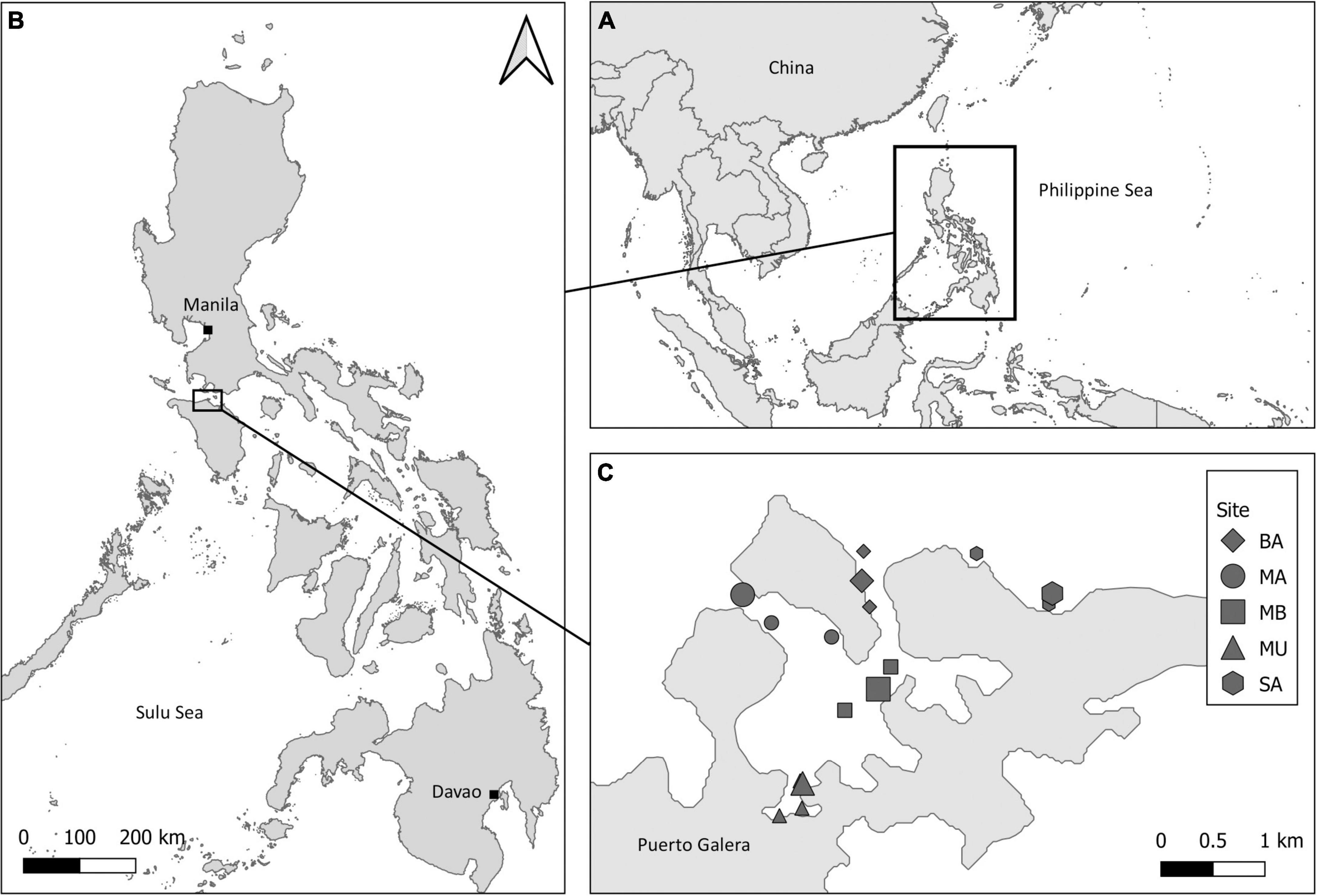 Fish scale stable isotopes as potential indicators of nutrient