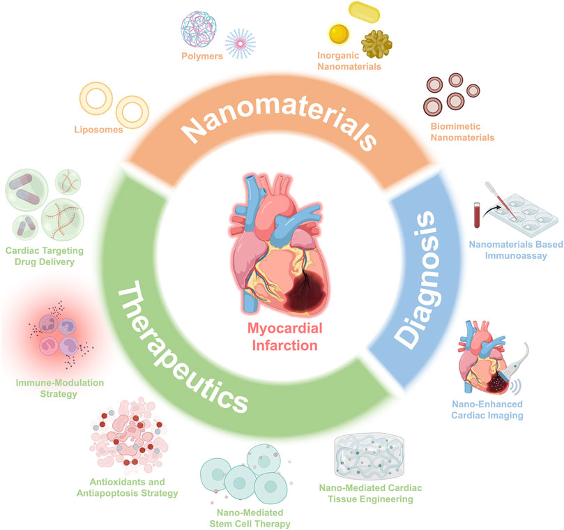 Various nanotechnology-based molecular imaging methods (A) PP/PS@MIONs