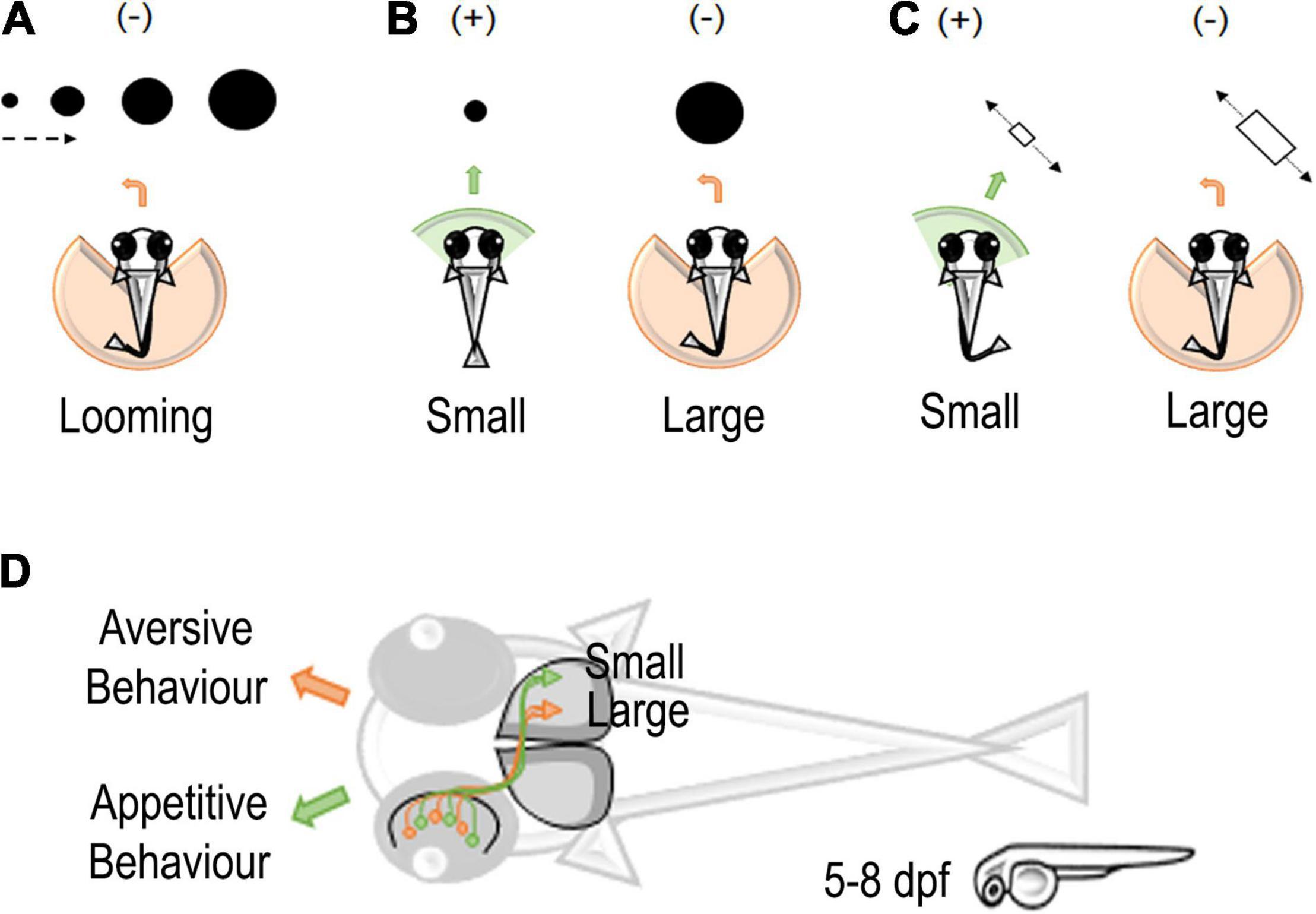 Large-scale neural recordings call for new insights to link brain and  behavior