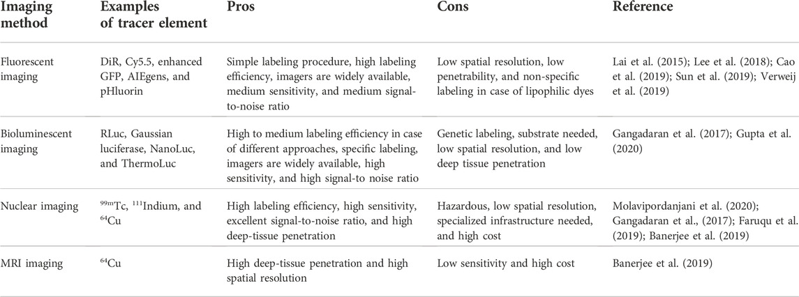 In Vivo Real-Time Imaging of Extracellular Vesicles in Liver Regeneration  via Aggregation-Induced Emission Luminogens