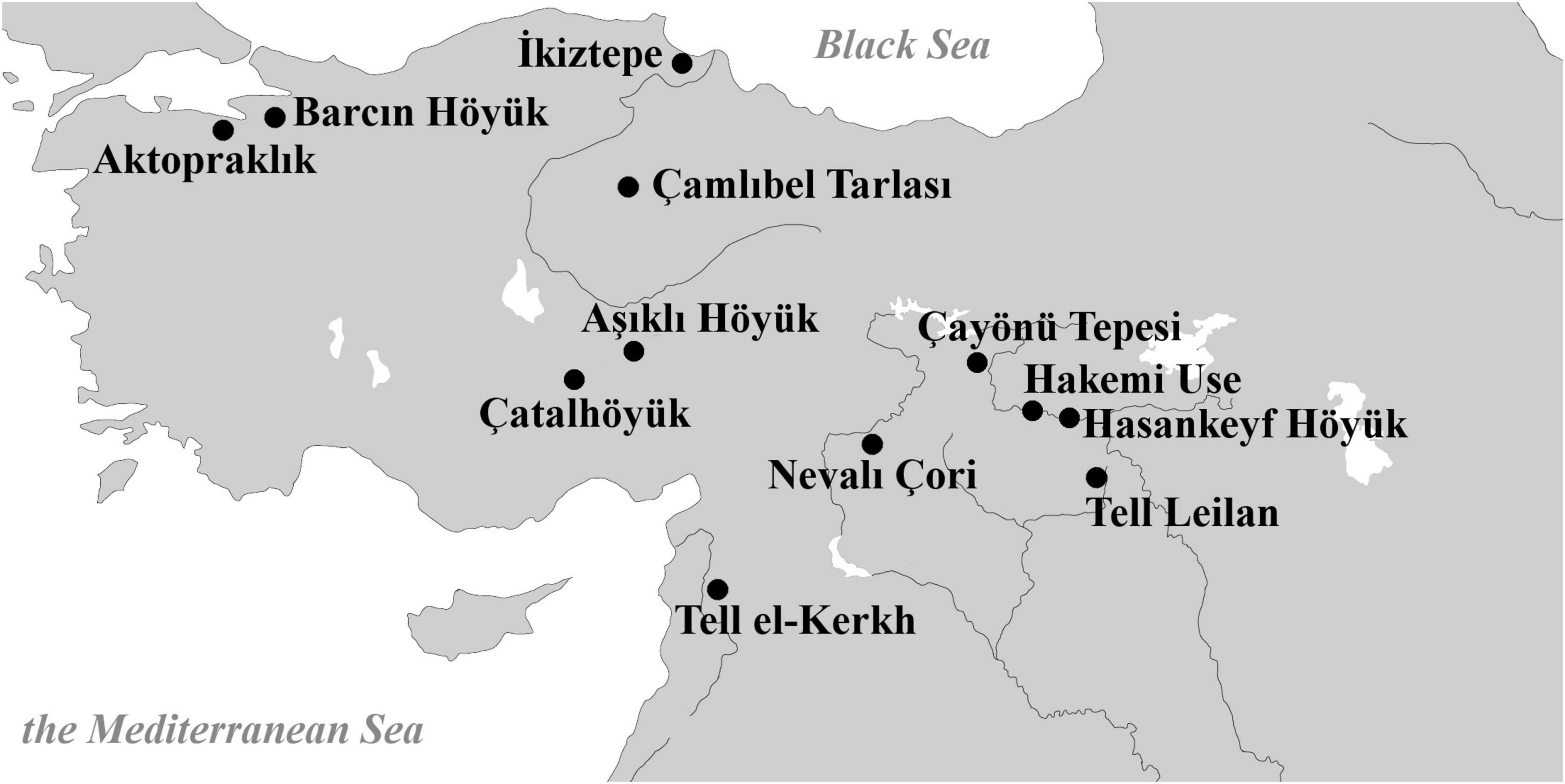 Aşıklı Höyük: The Generative Evolution of a Central Anatolian PPN Settlement in Regional Context