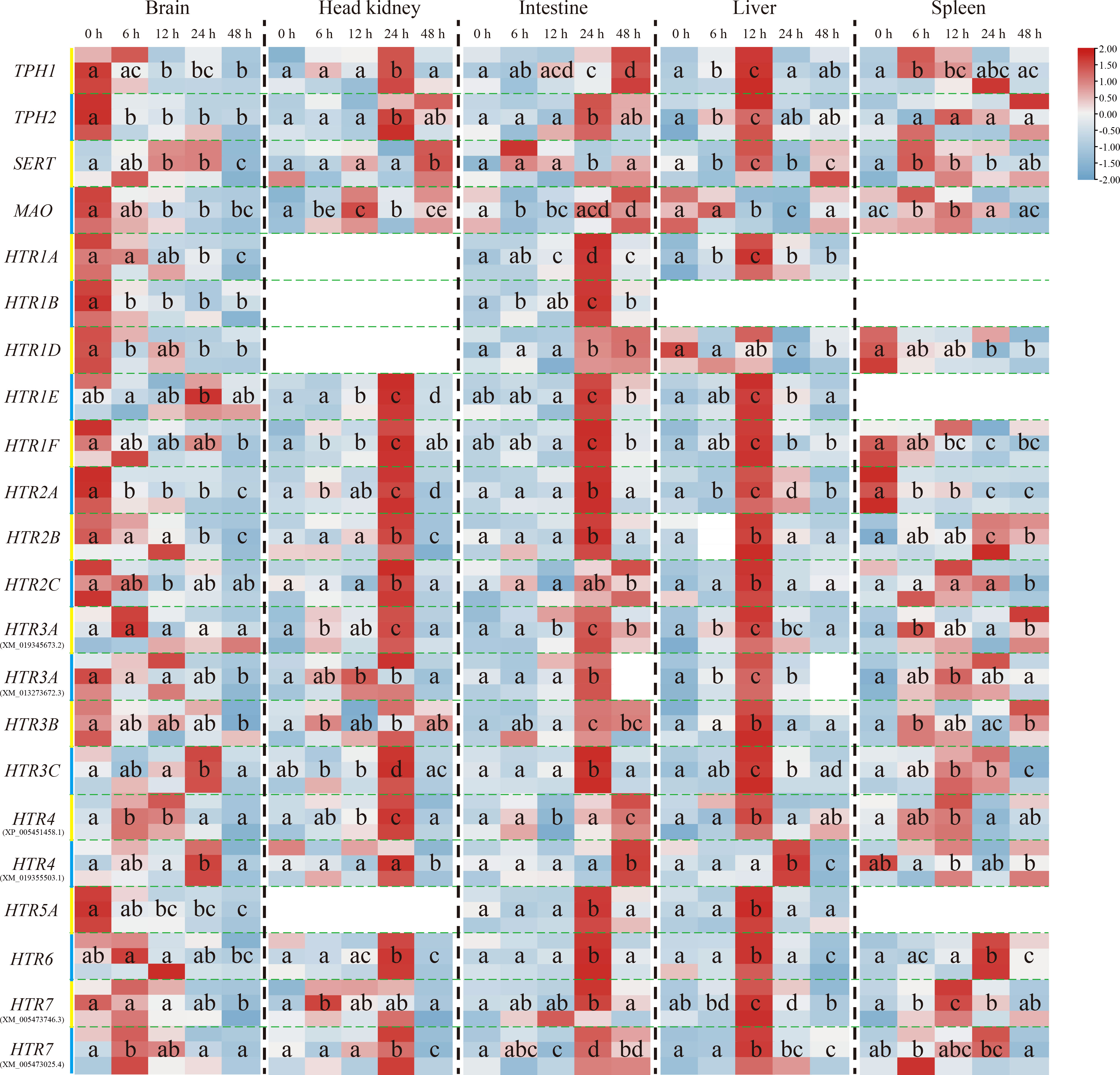 Frontiers | Serotonin system is partially involved in