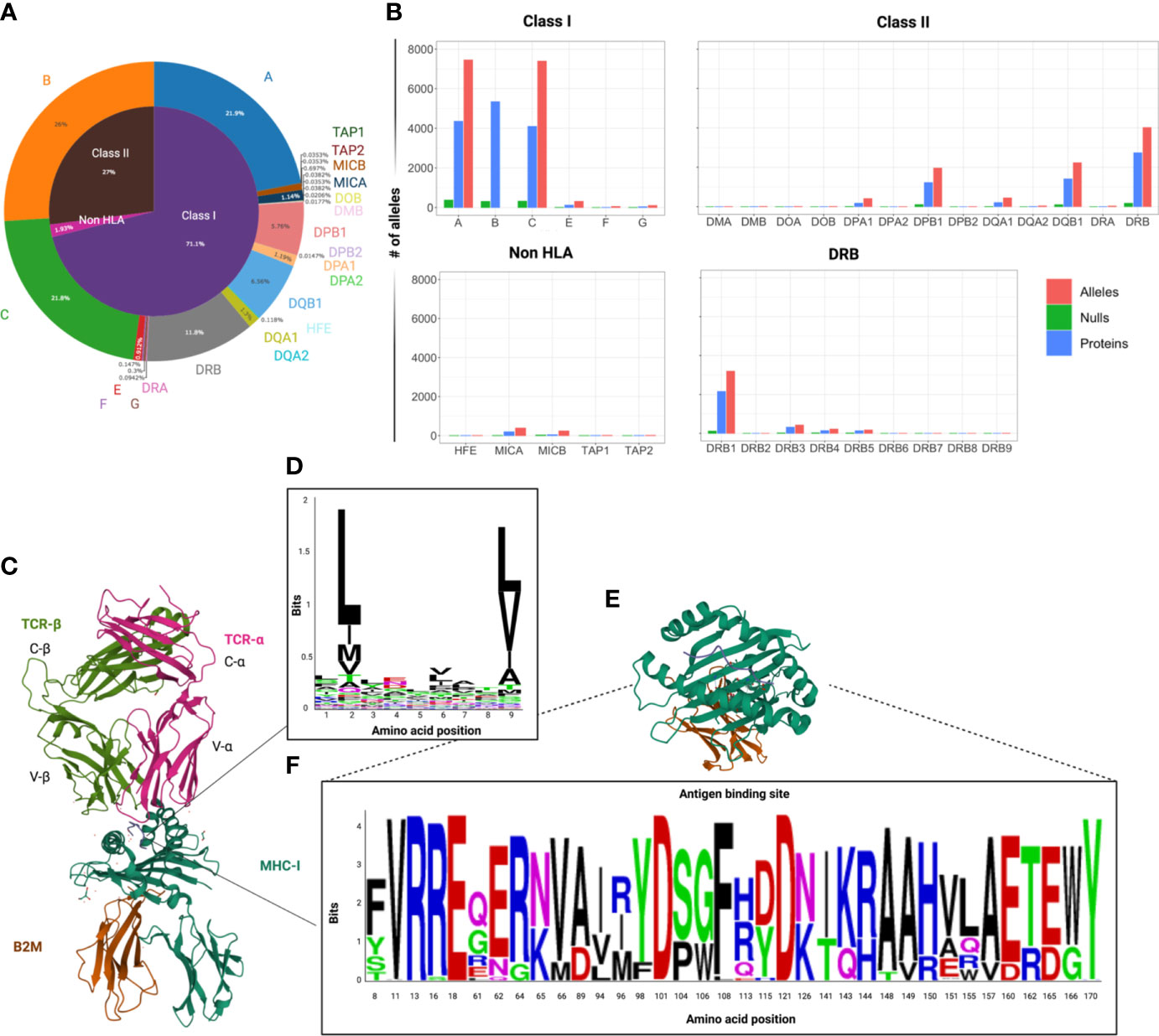 Characterization of the novel HLA‐B*46:41N allele - Zheng - 2020