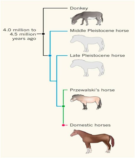 www.frontiersin.org