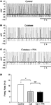 www.frontiersin.org