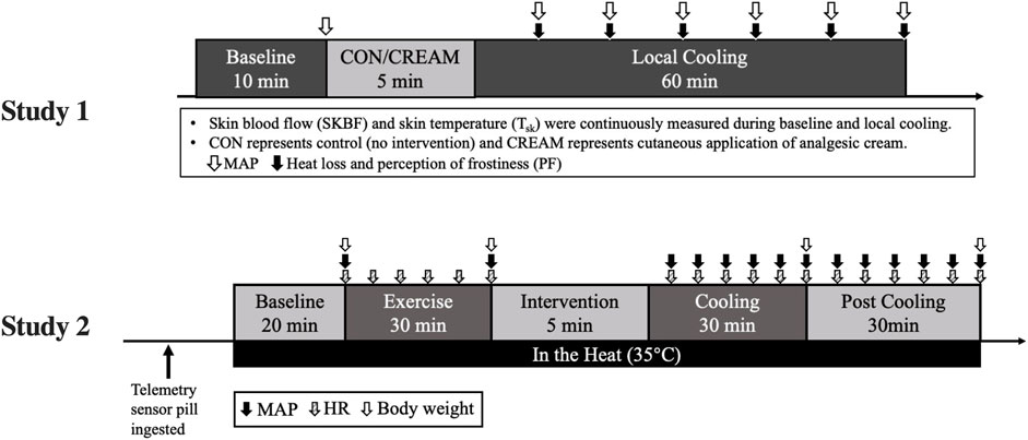 Frontiers  Current Knowledge on the Vascular Effects of Menthol