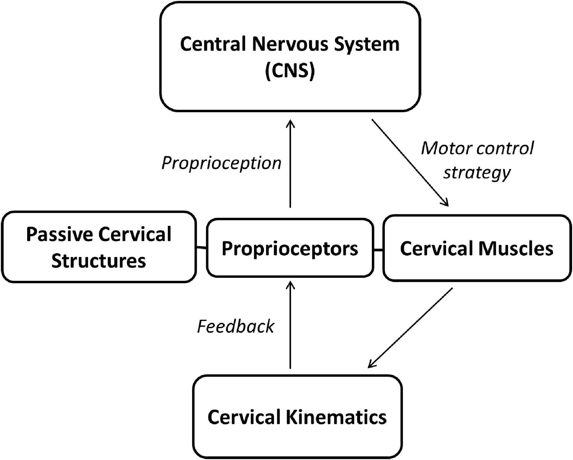 Cervical Placement for Neck Issues Example 