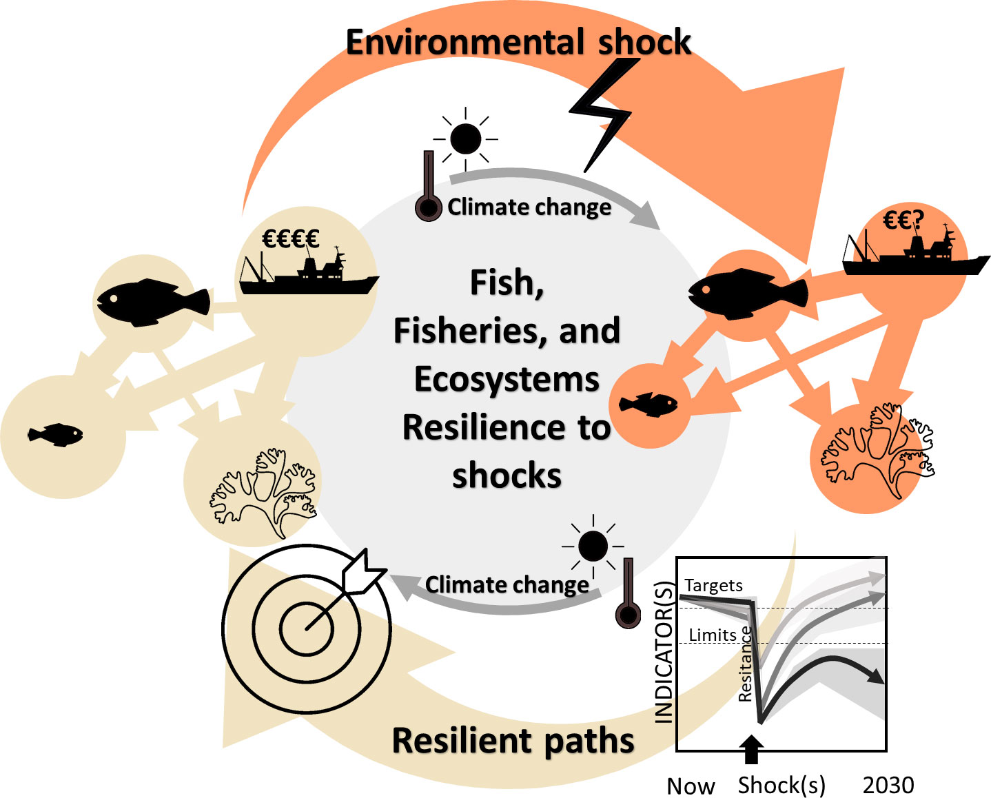 Frontiers  Ten lessons on the resilience of the EU common fisheries policy  towards climate change and fuel efficiency - A call for adaptive, flexible  and well-informed fisheries management