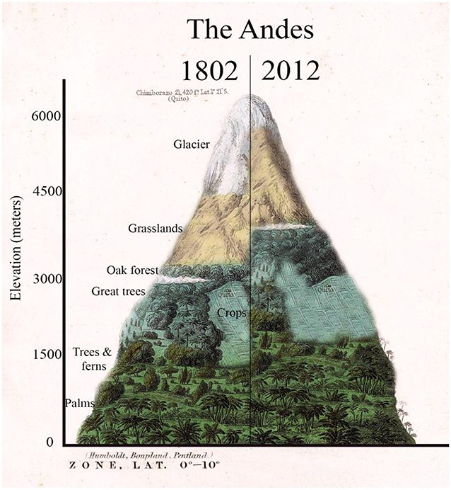 Figure 2 - Les zones de végétation de la cordillère des Andes.