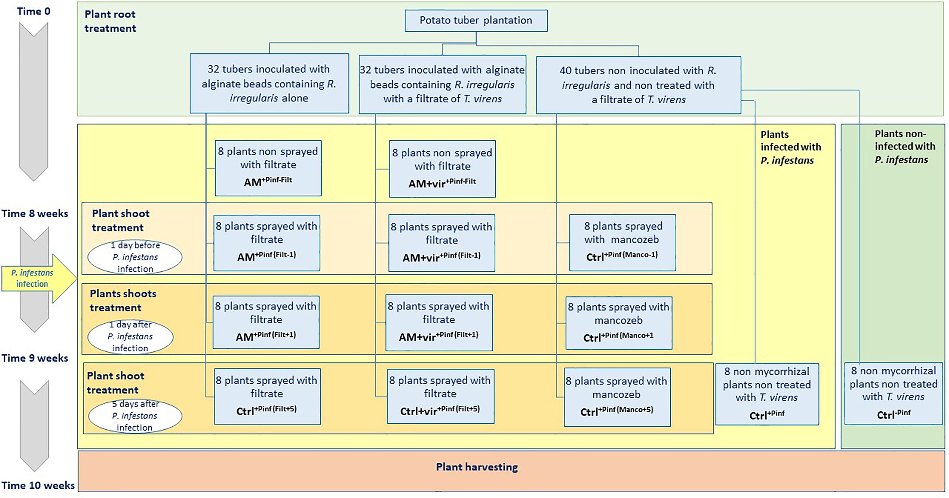 Frontiers  Characterization of fungal pathogens and germplasm