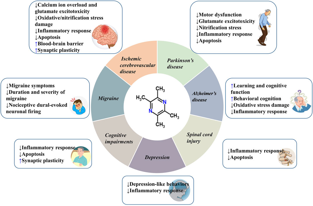 Frontiers  Tetraclinis articulata (vahl) masters: An insight into its  ethnobotany, phytochemistry, toxicity, biocide and therapeutic merits