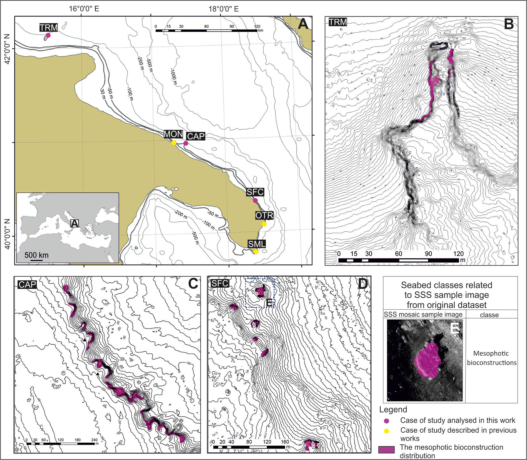 Frontiers  When Scientists and Industry Technologies Mitigate Habitat  Loss: The First Bioconstruction Relocation in the Mediterranean Sea