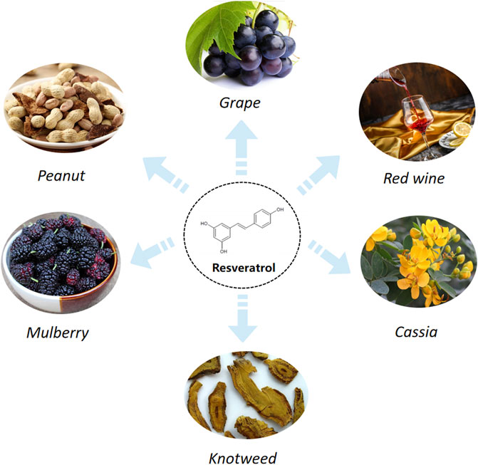 resveratrol