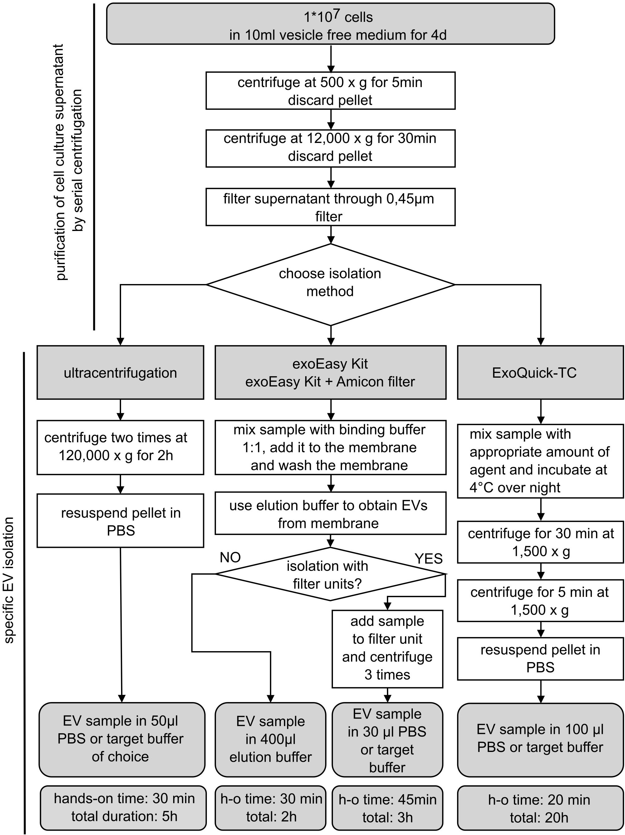 Comprehensive isolation of extracellular vesicles and