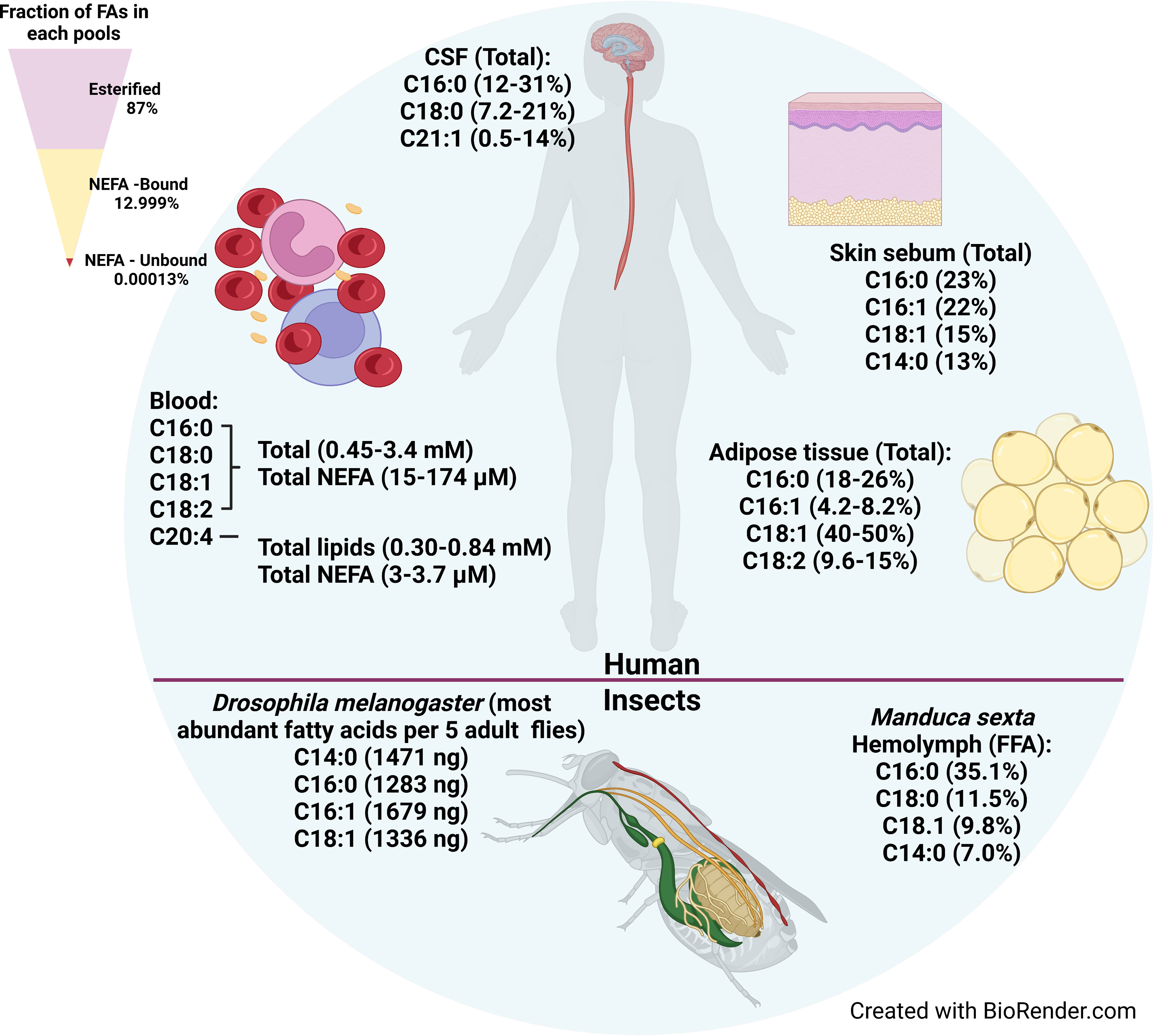 Frontiers Fatty Acid Uptake In Trypanosoma Brucei Host Resources And 