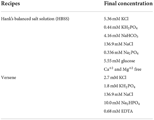 Brain Microvascular Endothelial Cells