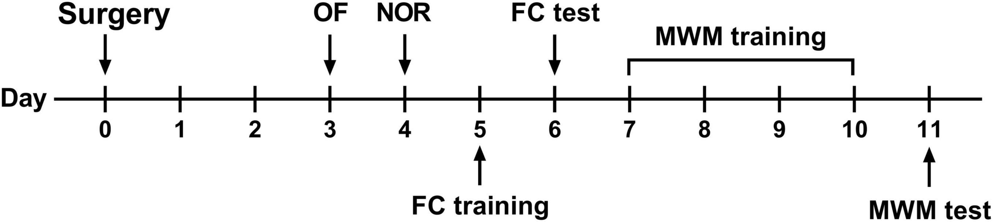 www.frontiersin.org