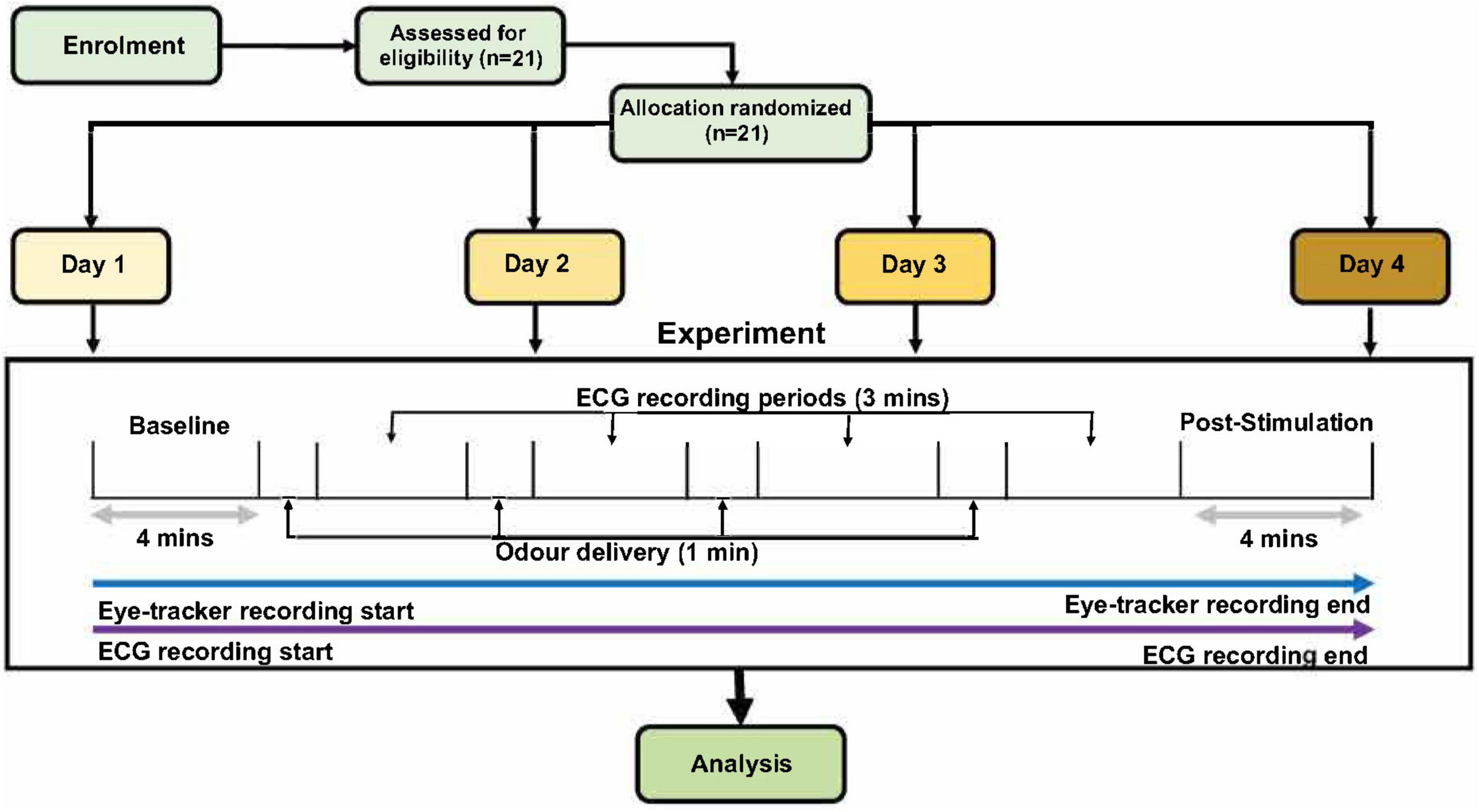 Frontiers Non Contact Neuromodulation Of The Human Autonomic Nervous