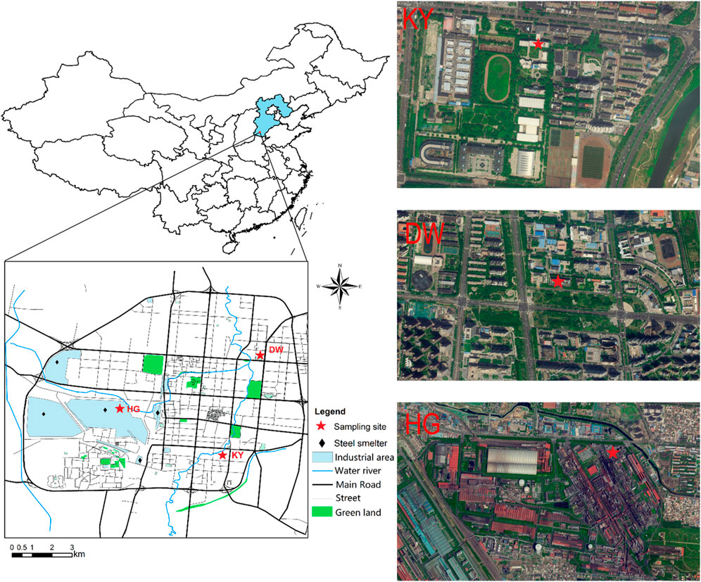 Frontiers | Quantitative source apportionment of heavy metals in ...