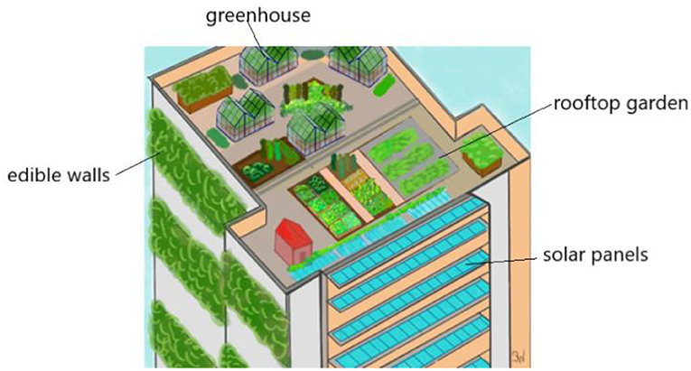 Figure 1 - Urban agriculture includes food produced in or on city buildings, including in rooftop gardens, on the walls of buildings, and even in climate-controlled spaces within buildings, where all of a plant’s needs are met.