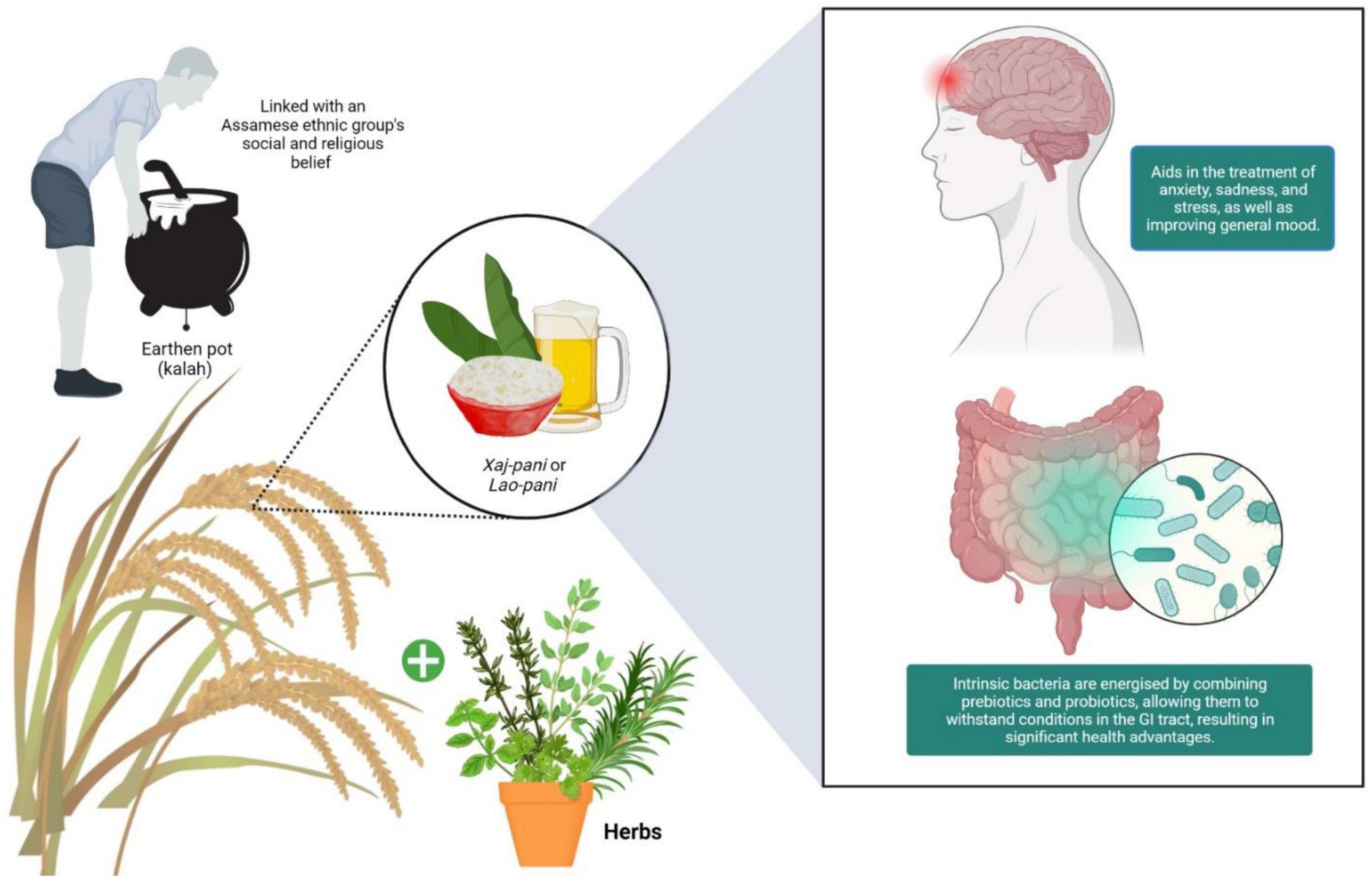 9 Health Benefits of Drinking Water from the Earthen Pot