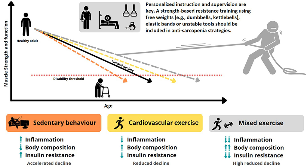 Exercises for Seniors to Improve Strength and Mobility