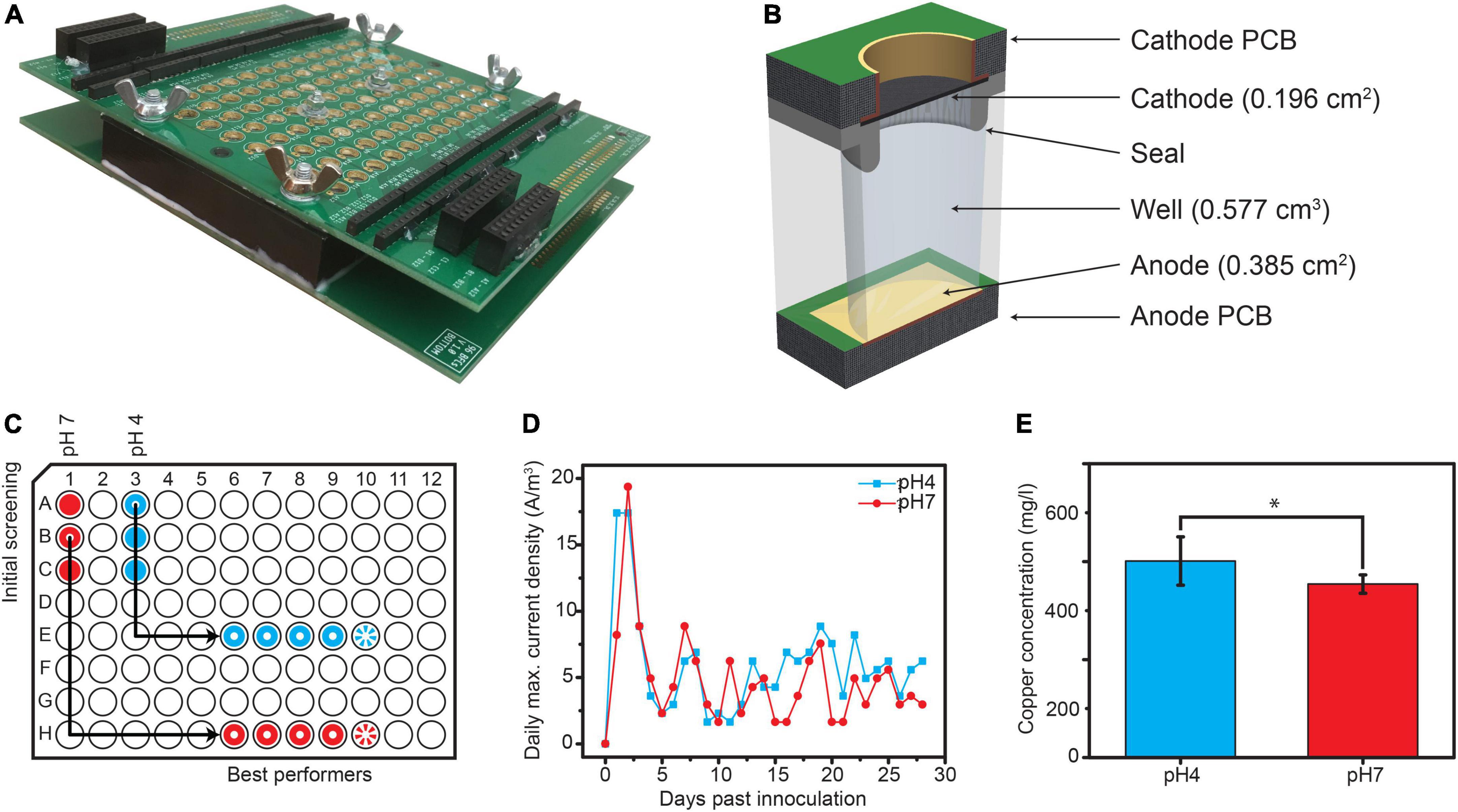 MEEP - Microbial/Enzymatic Electrochemistry Platform: Downloads : European  Fuel Cell Forum