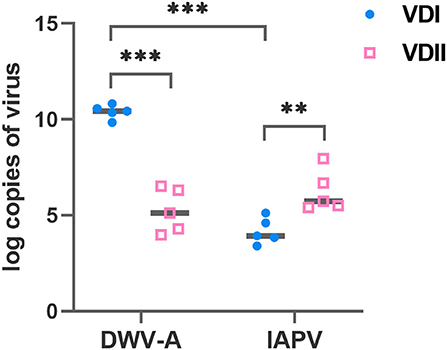 Honeybee-based SARS-CoV-2 diagnostics