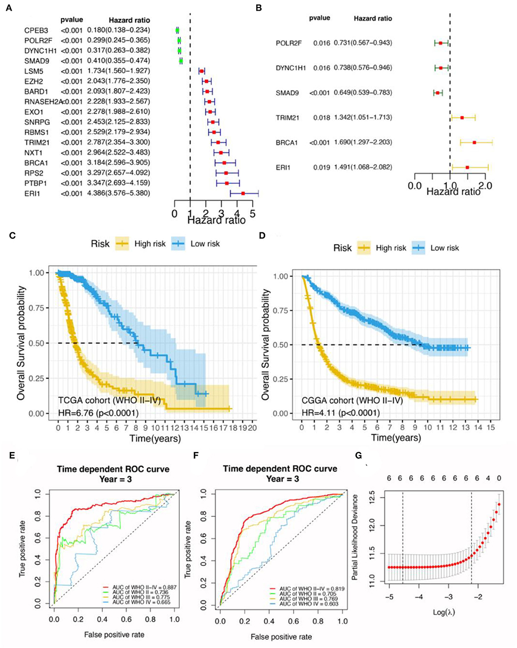 Faraha Karimaee Free Sex Videos - Frontiers | Identification of a 6-RBP gene signature for a comprehensive  analysis of glioma and ischemic stroke: Cognitive impairment and  aging-related hypoxic stress