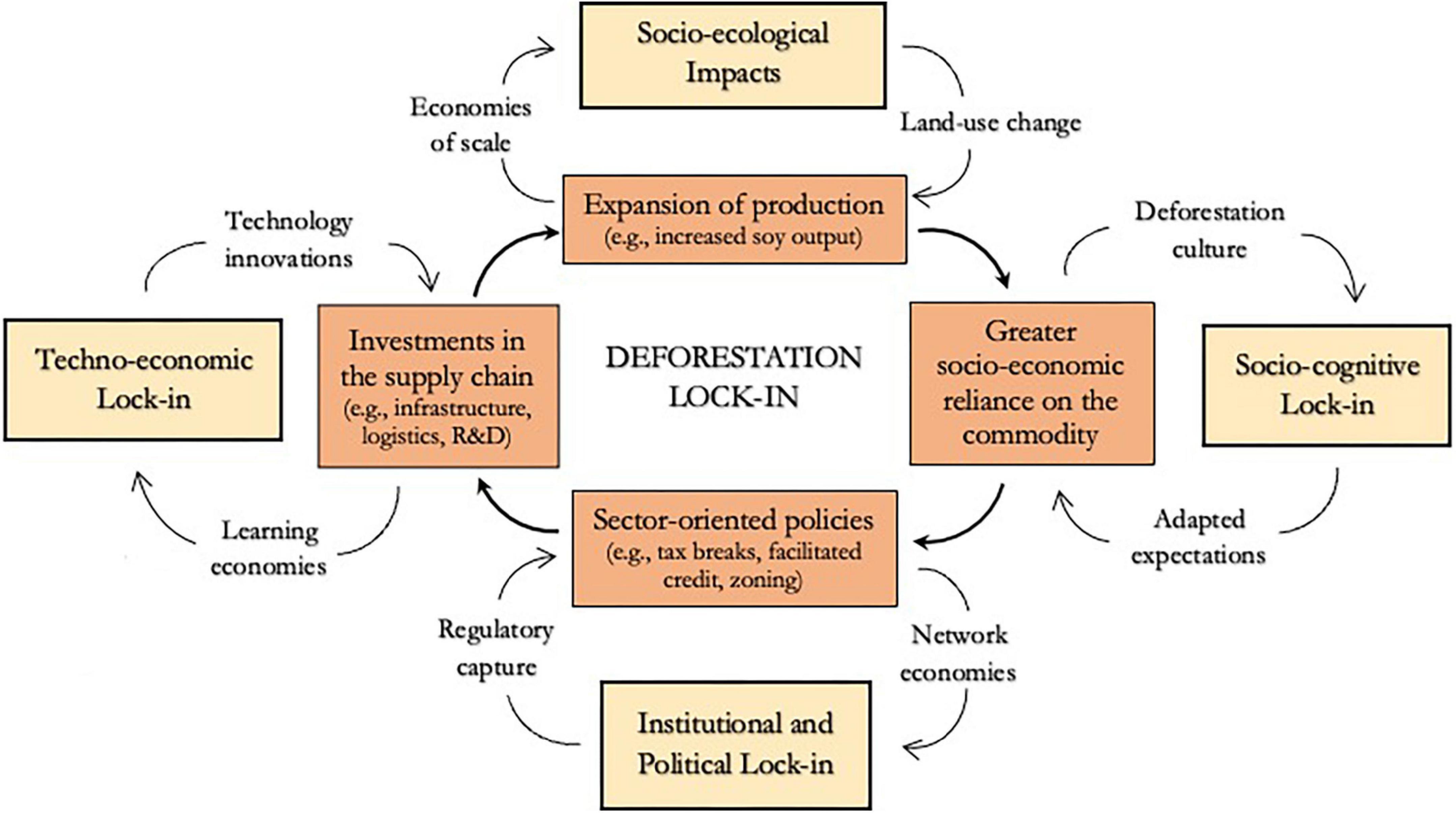 Frontiers  Understanding deforestation lock-in: Insights from Land Reform  settlements in the Brazilian