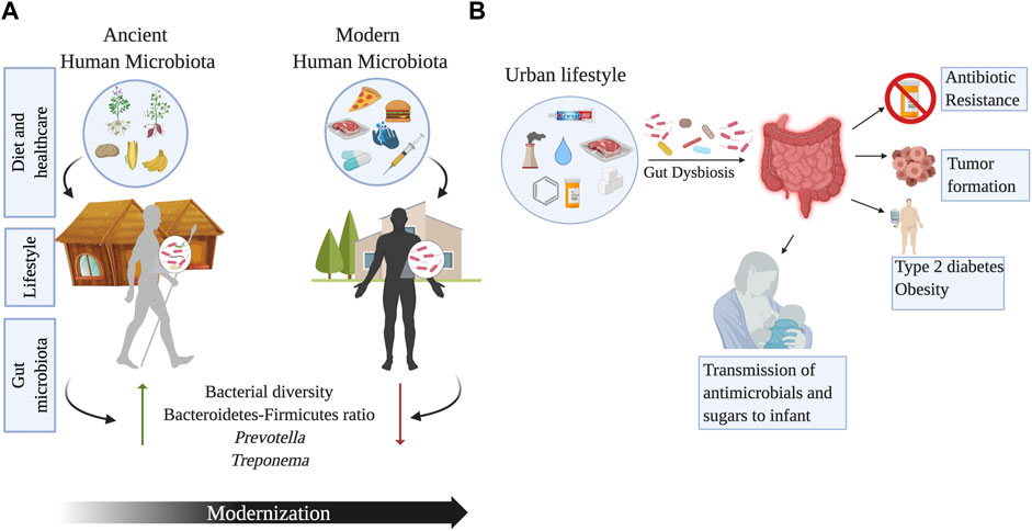 PDF) World data centre for microorganisms: An information infrastructure to  explore and utilize preserved microbial strains worldwide