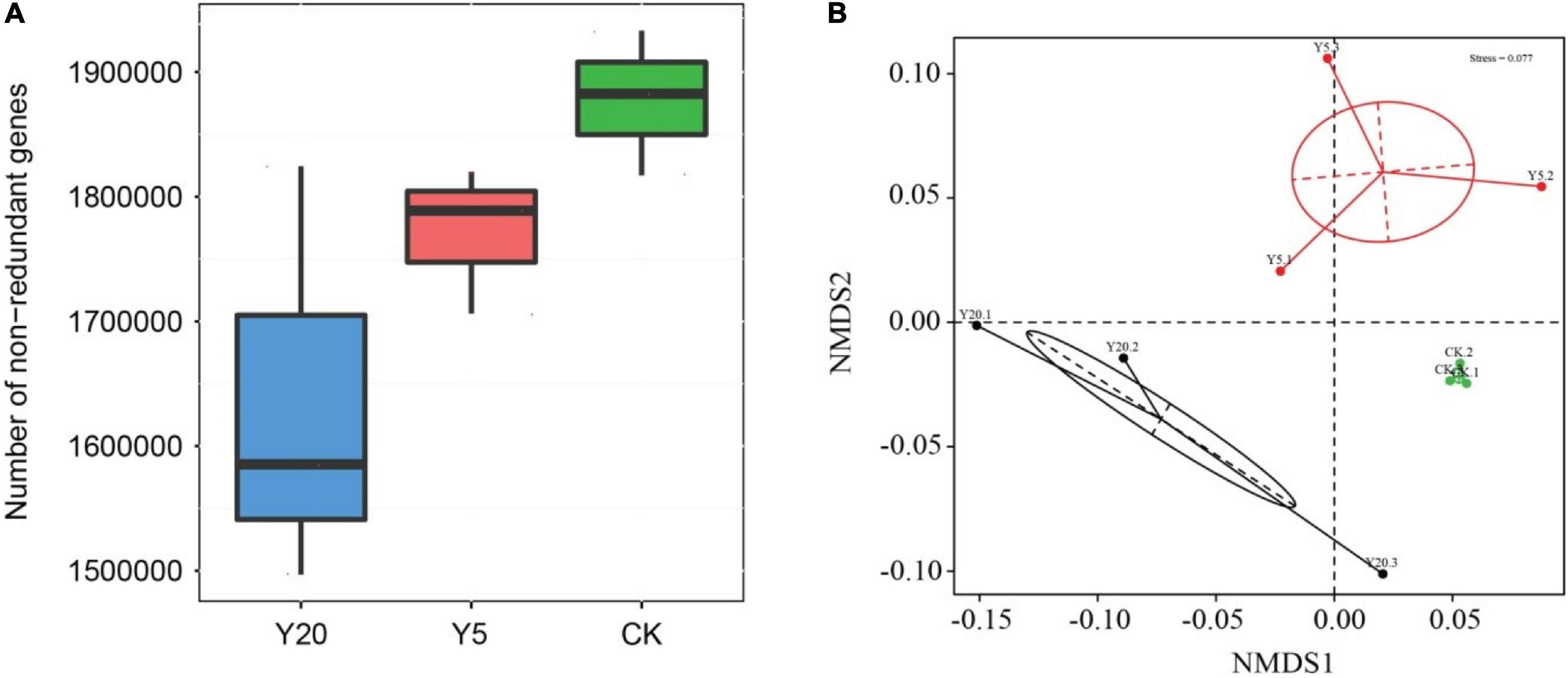 Frontiers | Long-term continuous mono-cropping of Macadamia