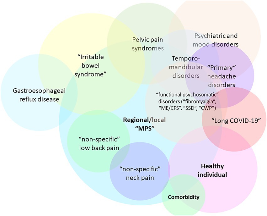 Fibromyalgia notable studies - MEpedia