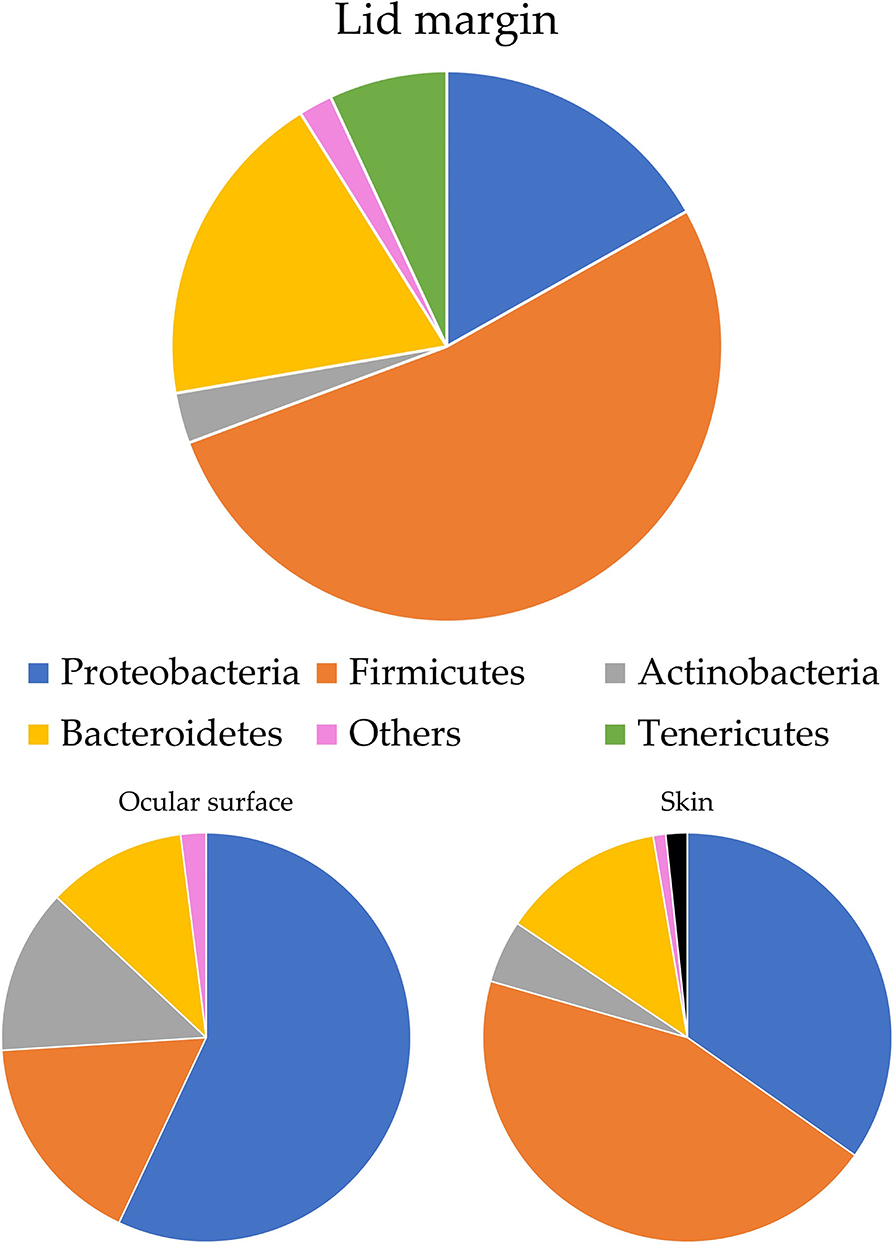 www.frontiersin.org