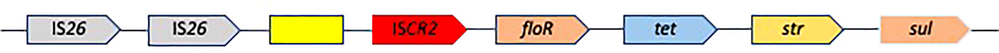 www.frontiersin.org