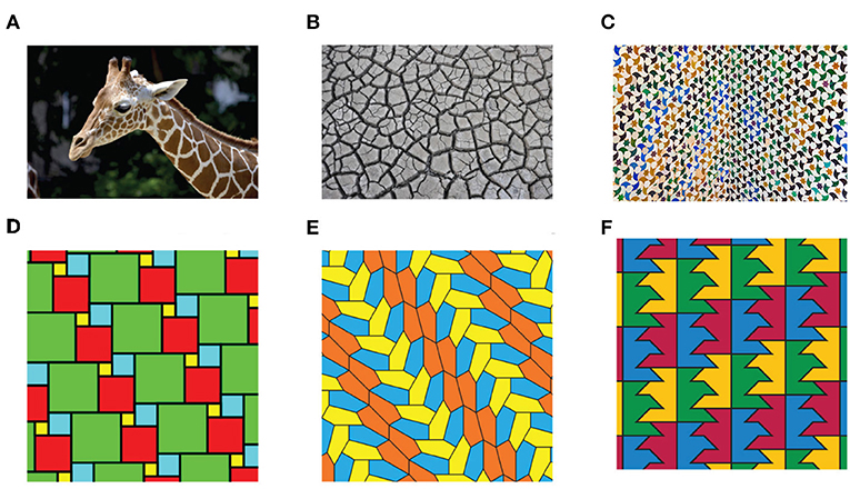 Figure 1 - Real-world tilings (A–C) and tilings of the plane (D, E).