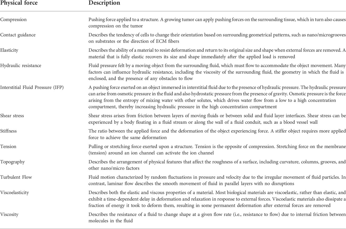 Frontiers The interplay between physical cues and