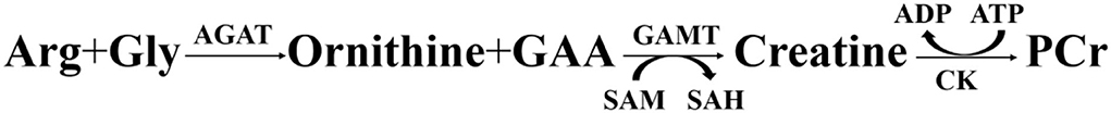 www.frontiersin.org