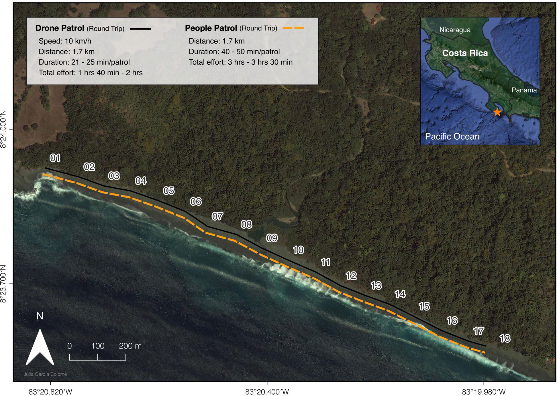 Frontiers Warm beach, warmer turtles Using drone-mounted thermal infrared sensors to monitor sea turtle nesting activity image