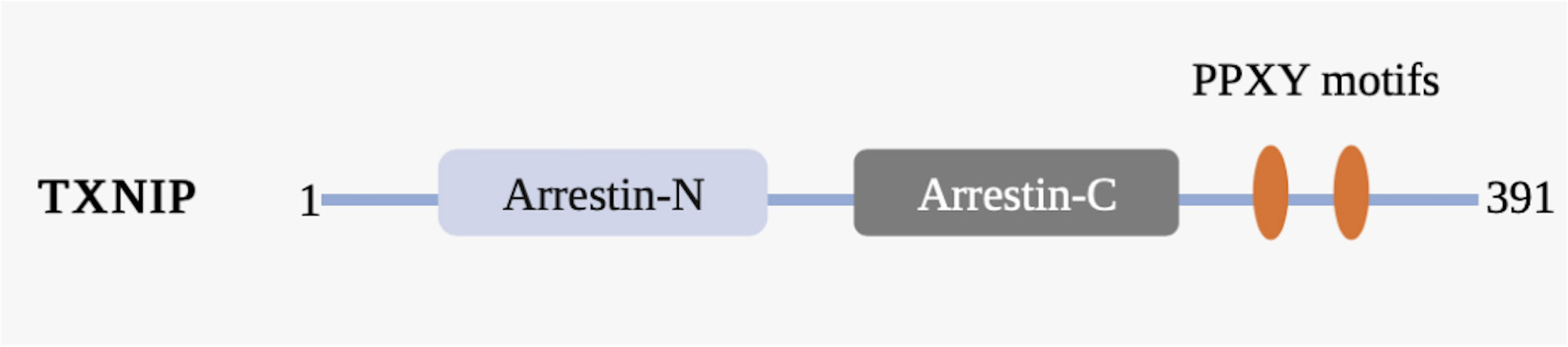 www.frontiersin.org