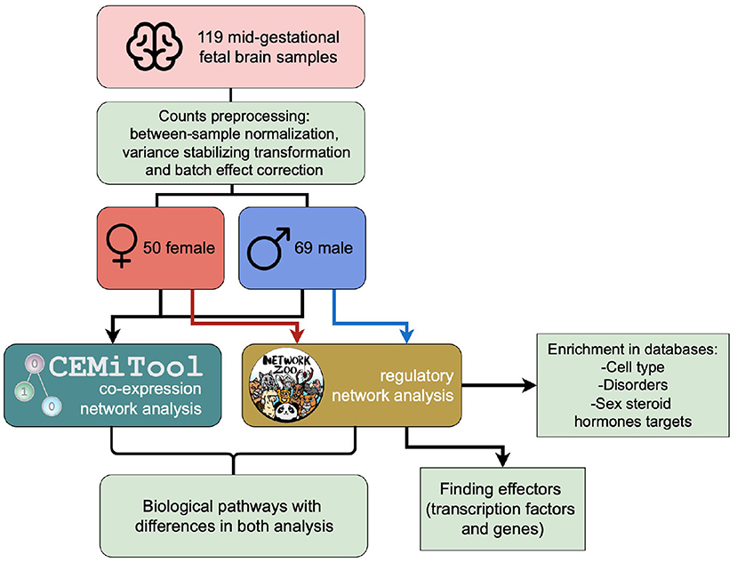 In Autosomal Dominant Inheritance Jsp Id N