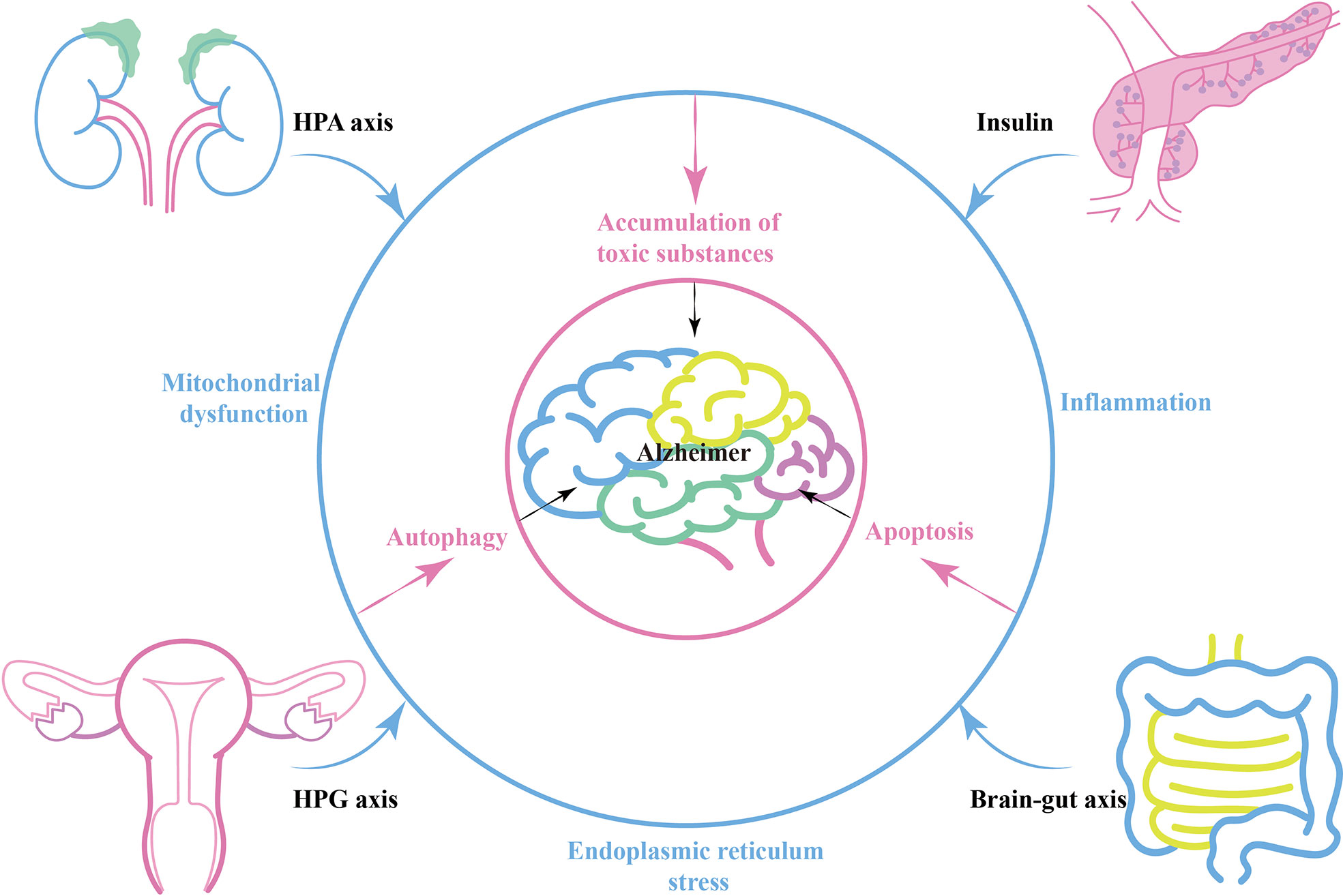 Engineering CRISPR for emerging therapeutic applications - ScienceDirect