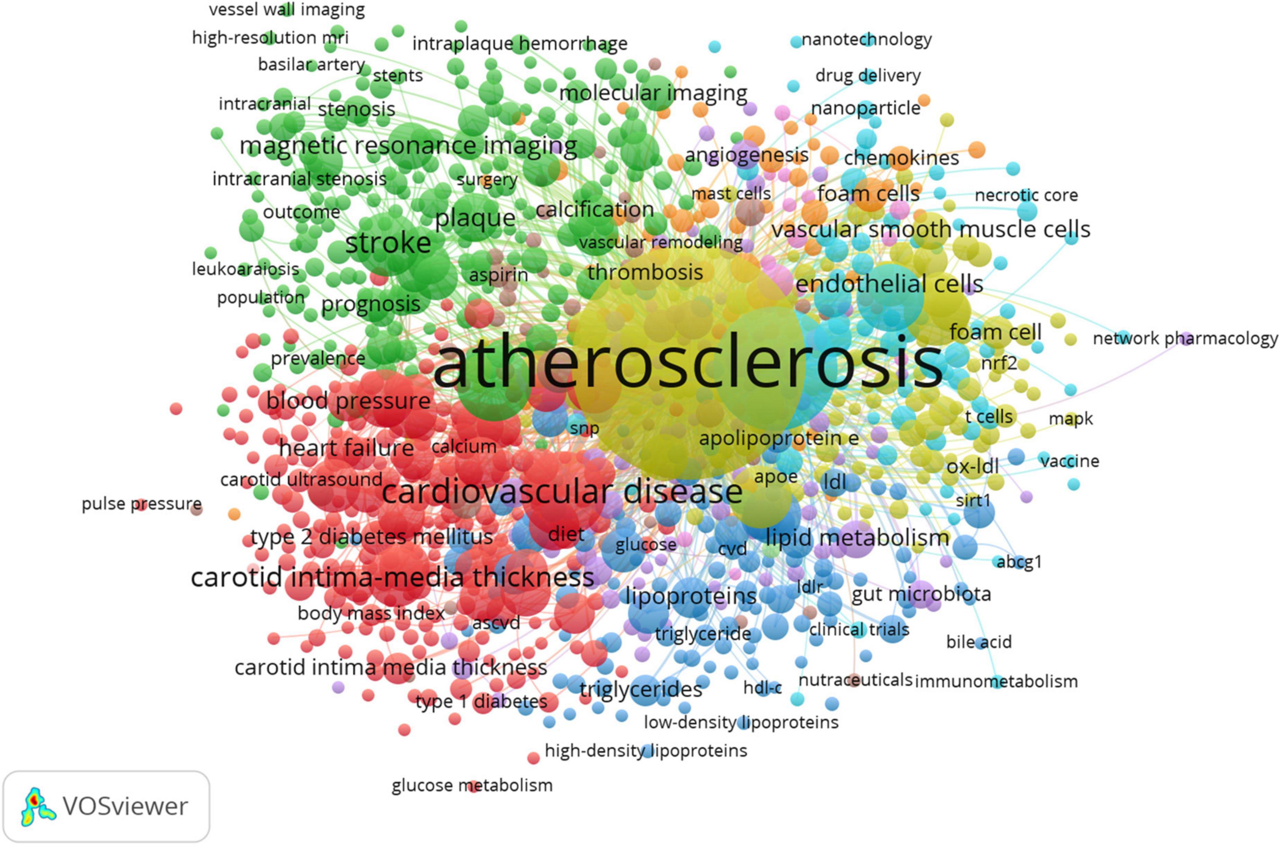 Макро и микро игра. VOSVIEWER visualisation.