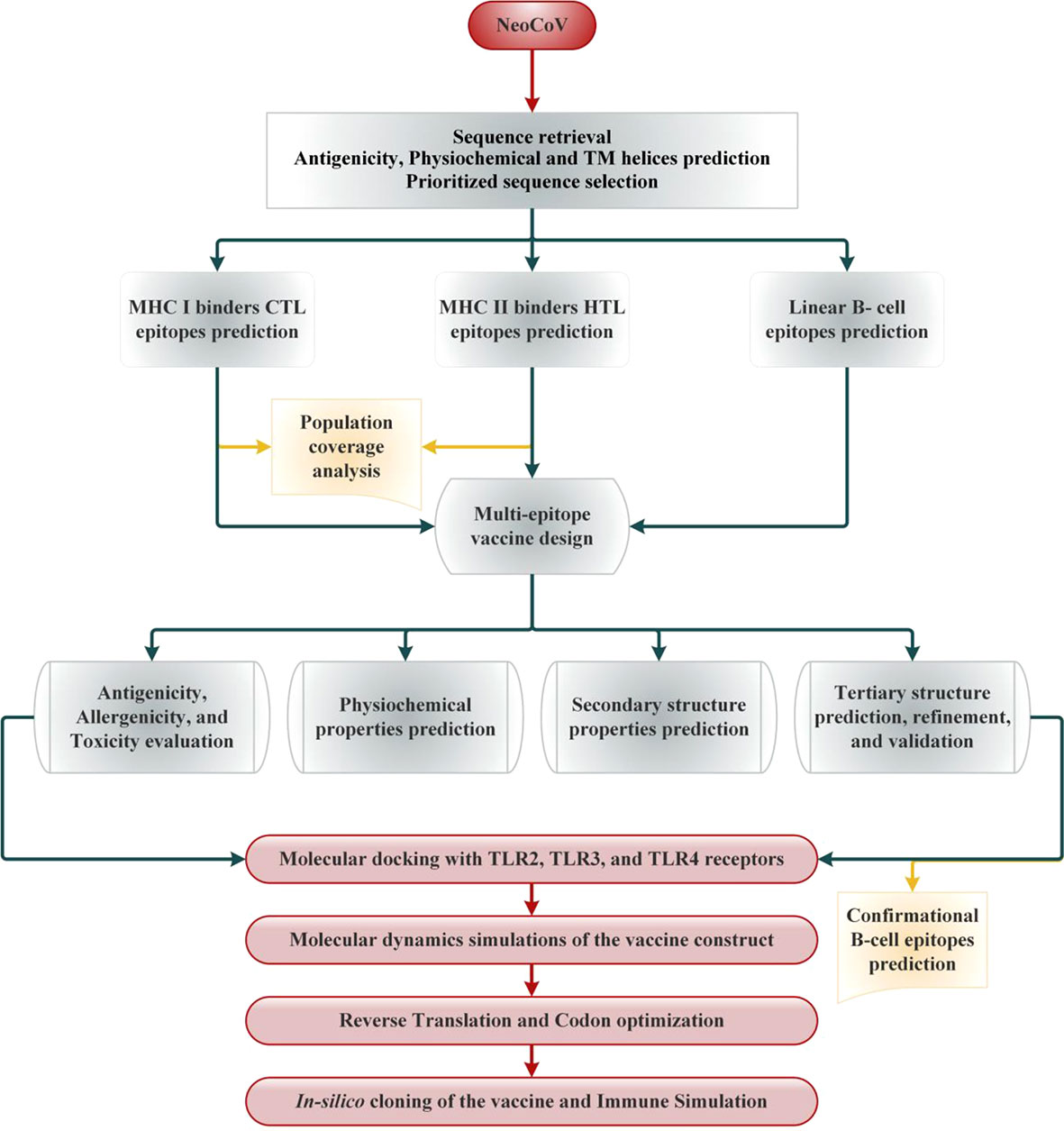 Frontiers  A Bioinformatics Approach to Investigate Structural and  Non-Structural Proteins in Human Coronaviruses